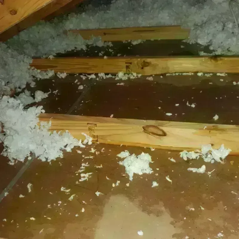 Attic Water Damage in Mountain Ranch, CA